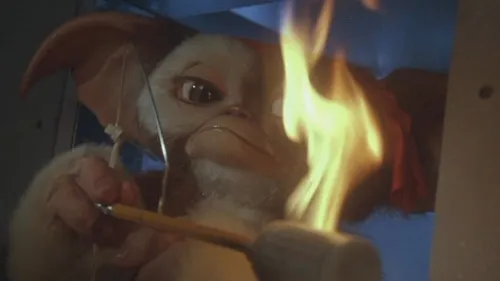 Mogwai