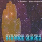 Strange Shapes — I Found A Rock